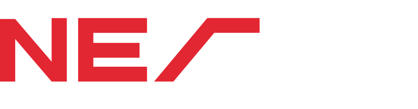 NEXGEN METALS FZCO (1)